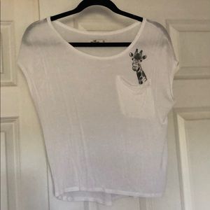 Hollister Short Sleeve T-shirt